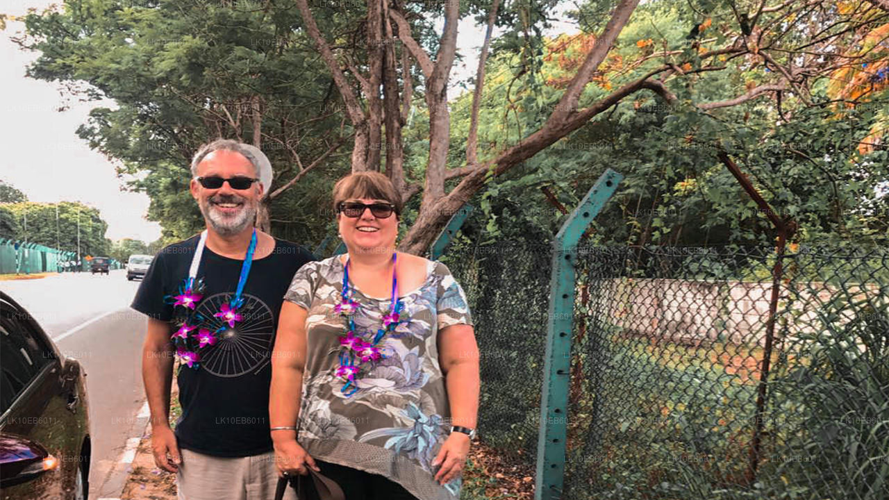 Духовная свобода (14 дней)