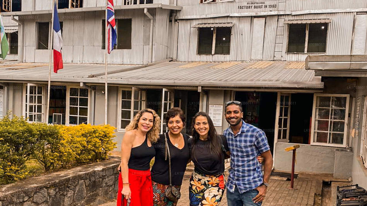 Духовная свобода (14 дней)