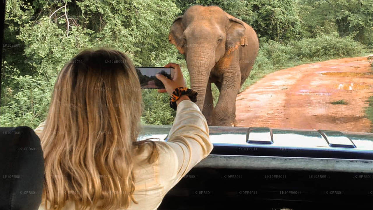 Духовная свобода (14 дней)