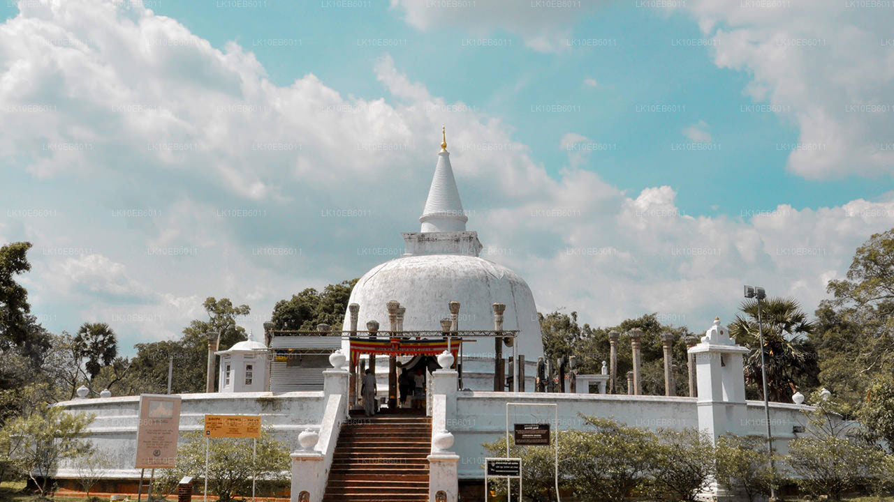 Духовная свобода (14 дней)