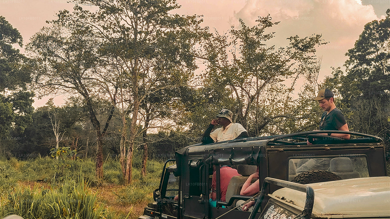 Скрытые путешествия (15 дней)