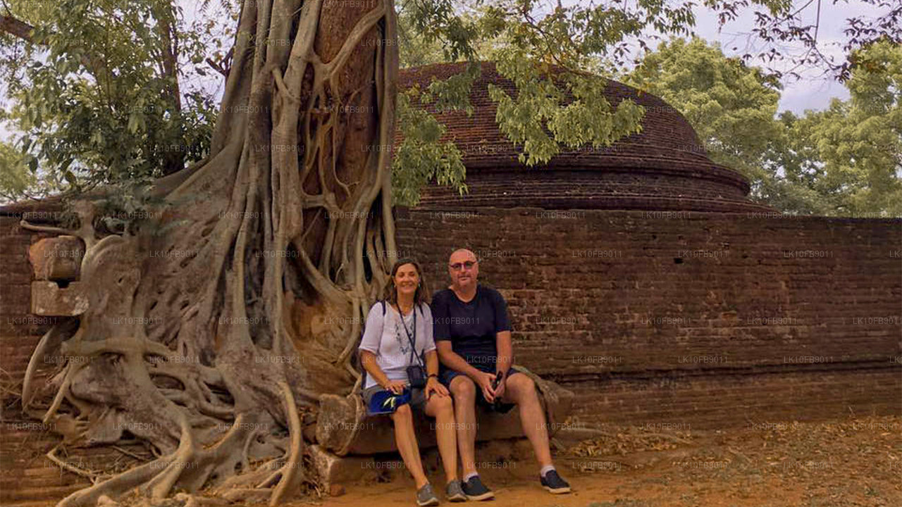 Облегчение и расслабление (15 дней)