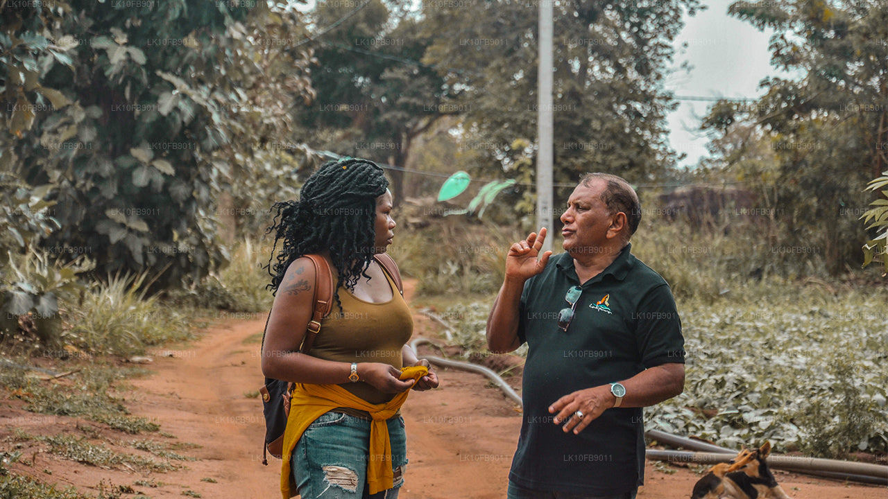 Облегчение и расслабление (15 дней)