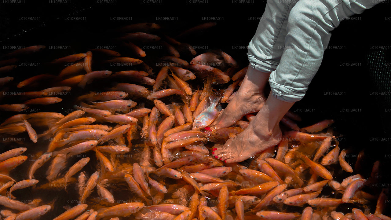 Тропа случайности (15 дней)