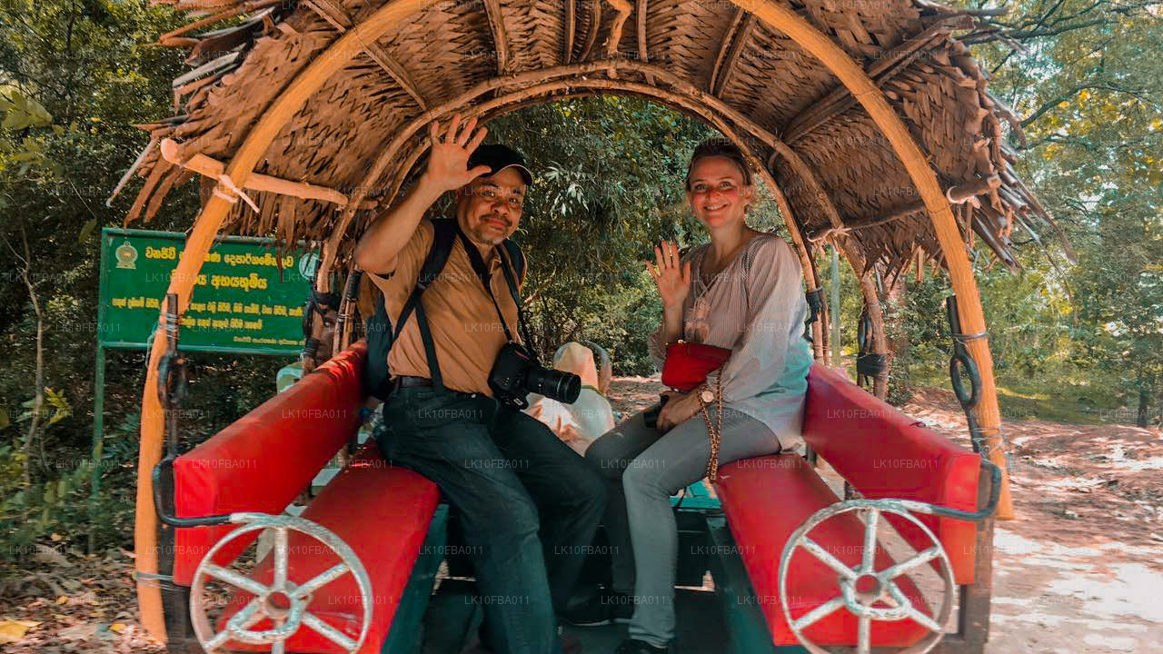 Тропа случайности (15 дней)