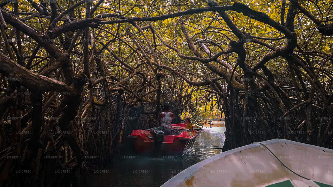 Лучшее на природе (15 дней)