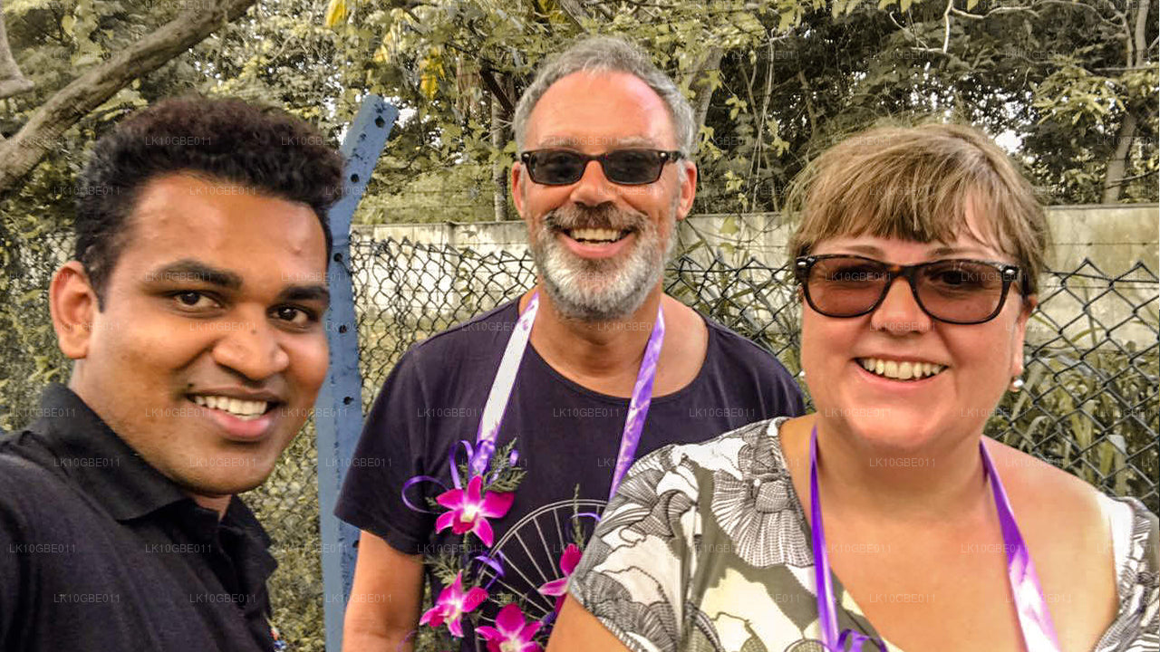 Лучшее на Цейлоне (16 дней)