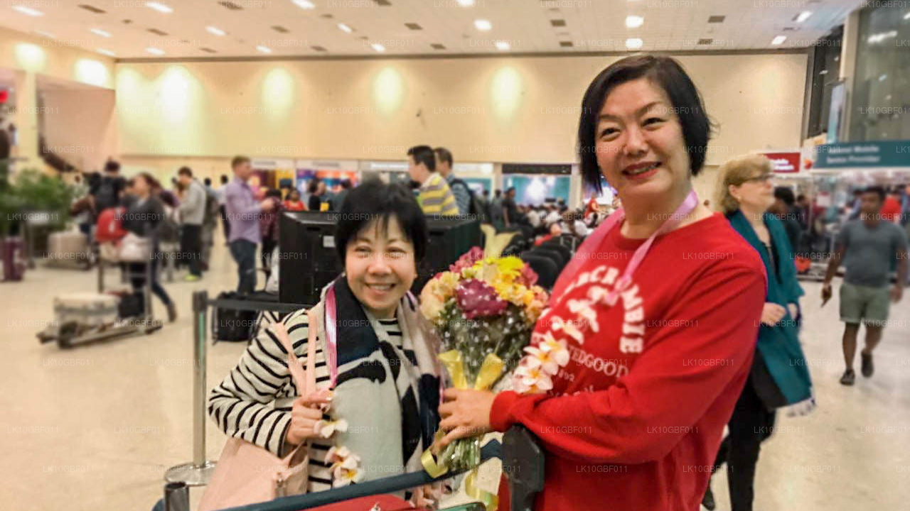 Откройте для себя Серендиб (16 дней)