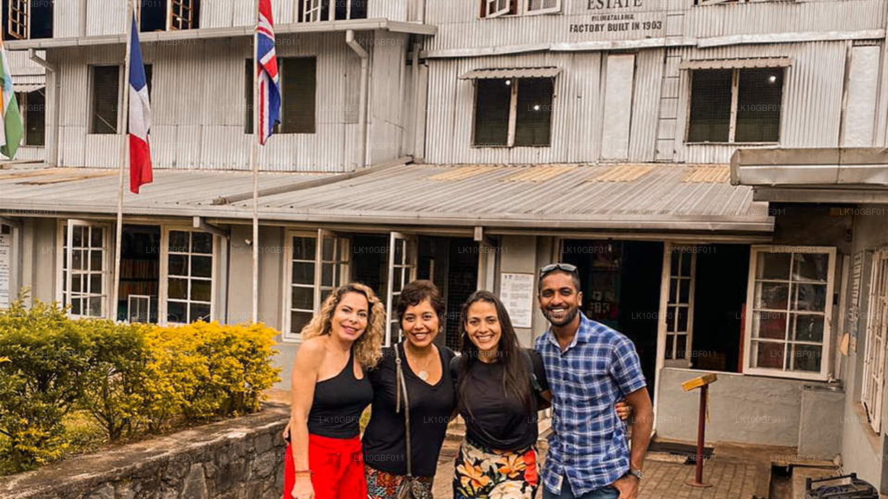 Откройте для себя Серендиб (16 дней)