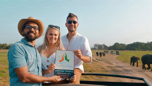 Драгоценности Шри-Ланки (16 дней)