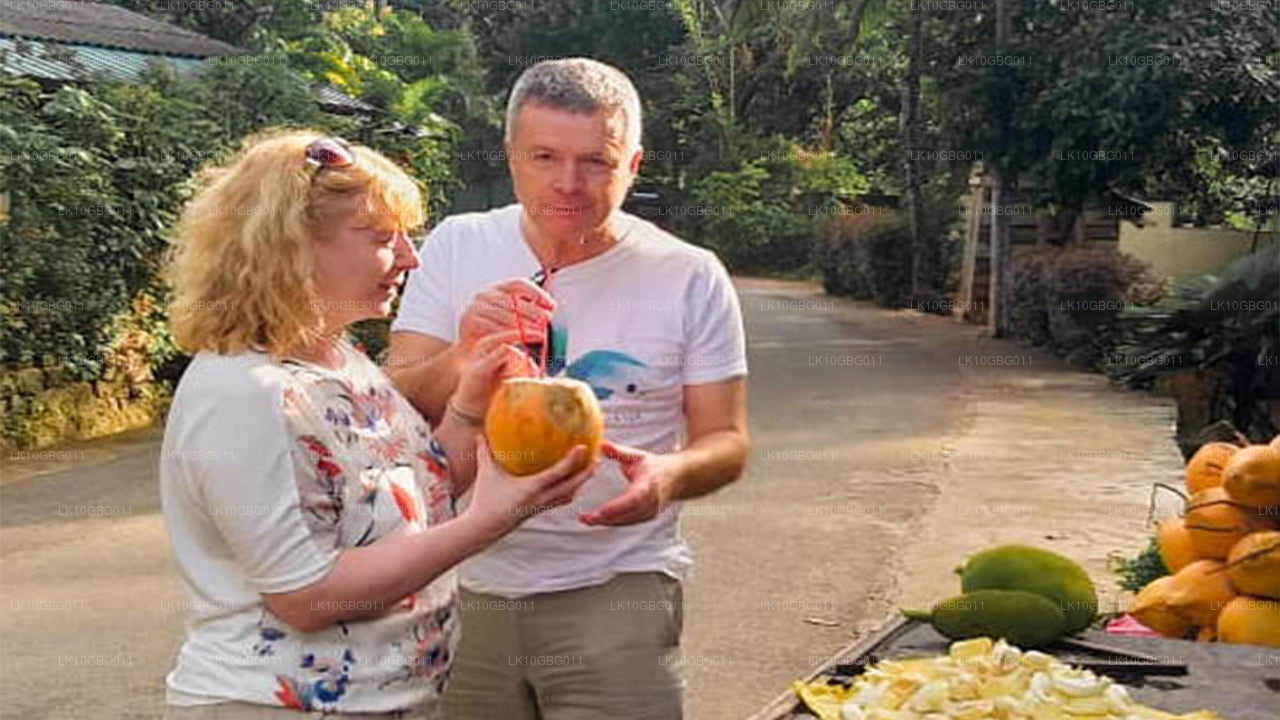 Драгоценности Шри-Ланки (16 дней)