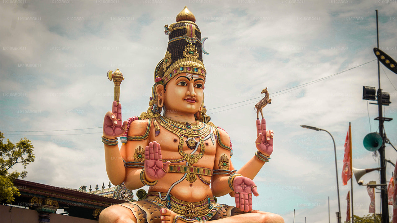 Драгоценности Шри-Ланки (16 дней)