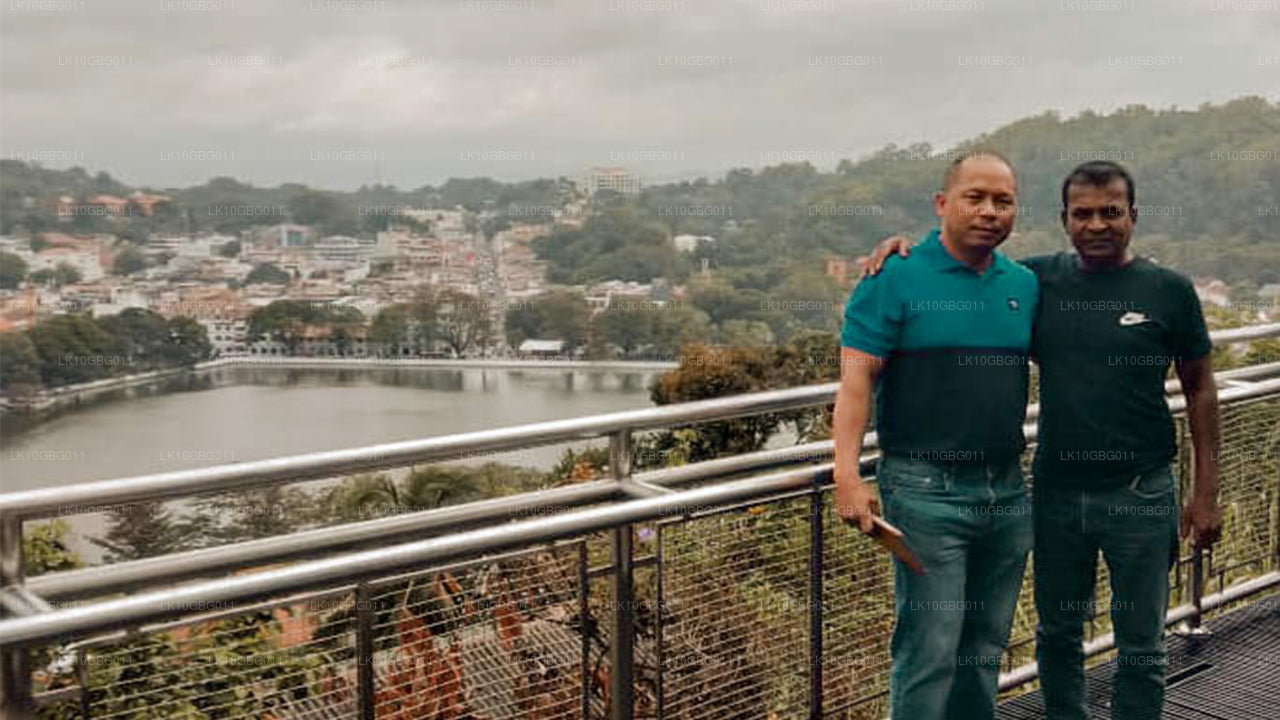 Драгоценности Шри-Ланки (16 дней)