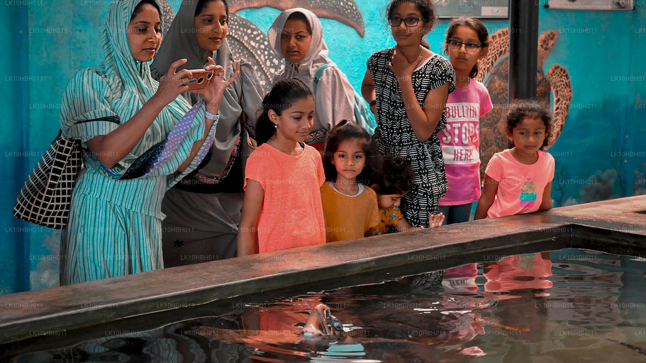 Современный Цейлон (17 дней)