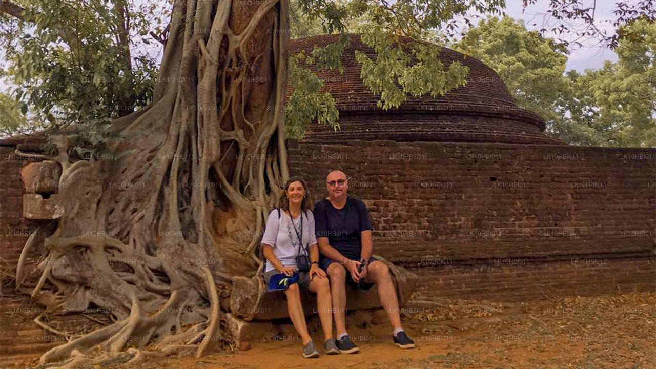 Шаги в рай (17 дней)