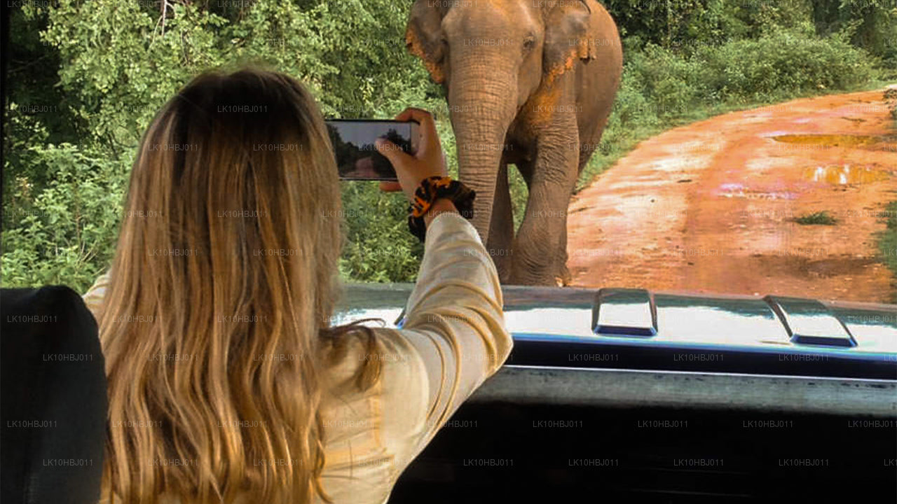 Ultimate Шри-Ланка (17 дней)