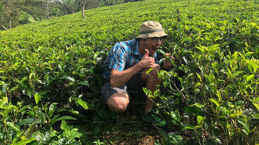 Незабываемая жемчужина Азии (17 дней)