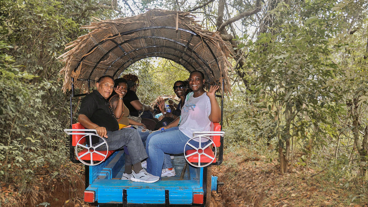 Очаровательная Шри-Ланка (18 дней)