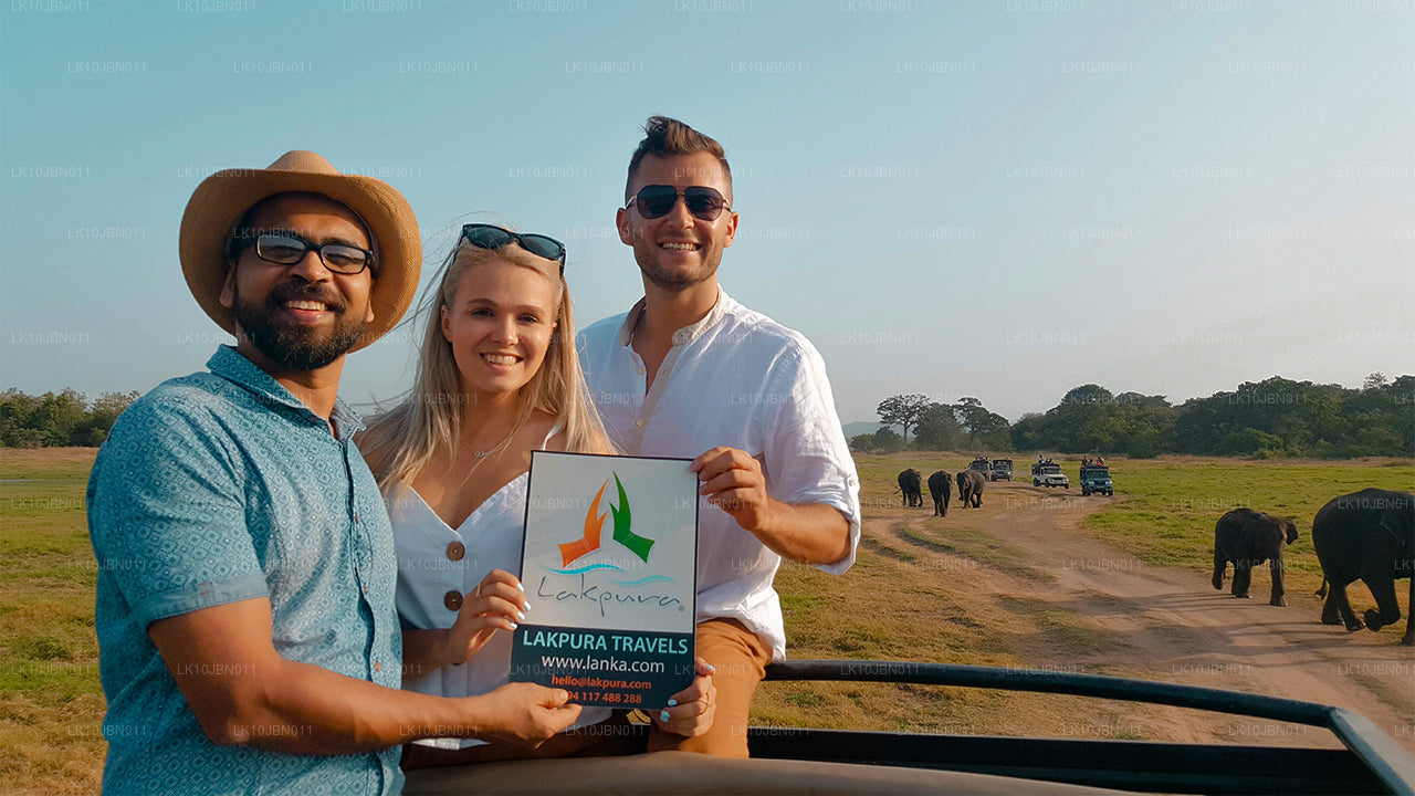 Экскурсионный тур по острову (19 дней)