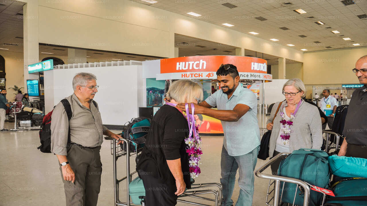 Тайные побеги (19 дней)