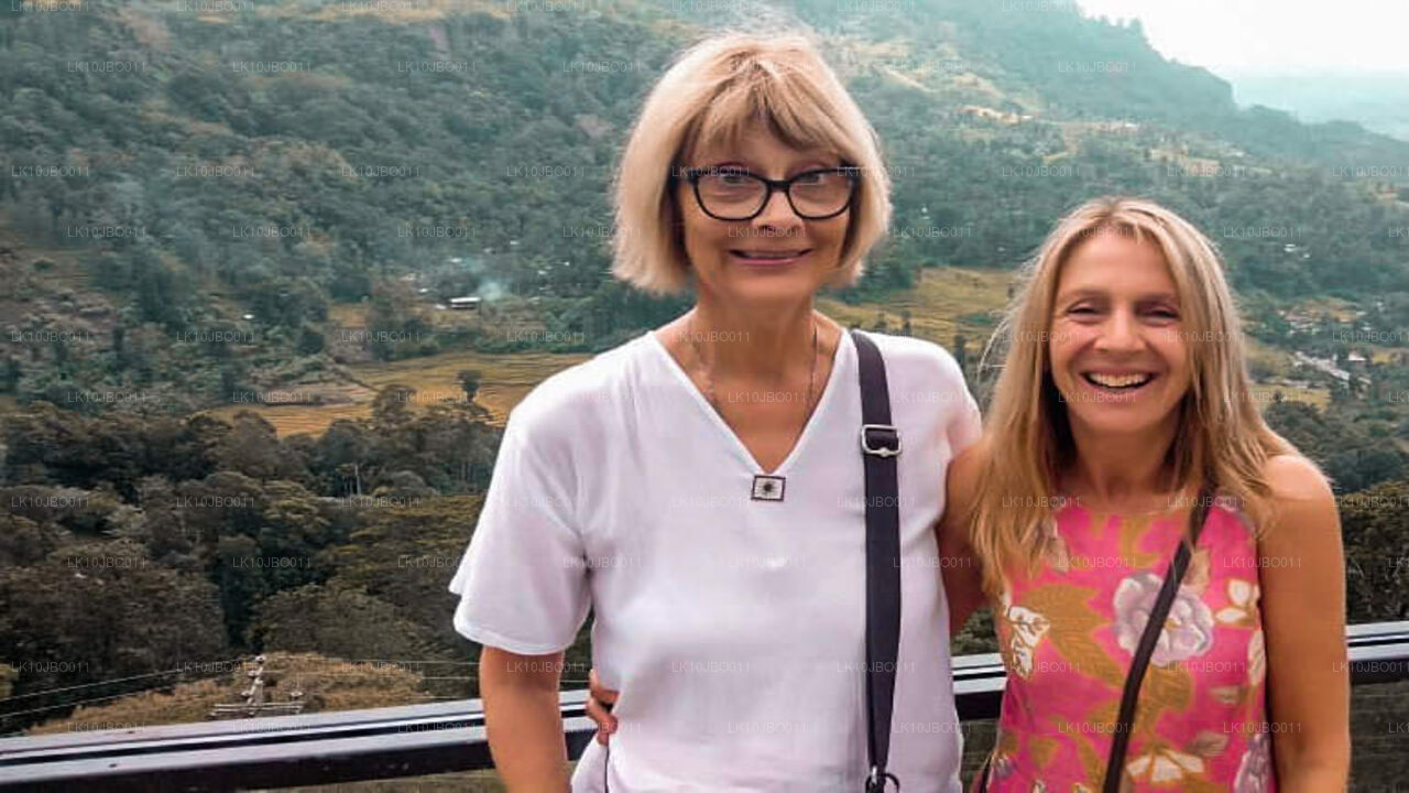 Тайные побеги (19 дней)