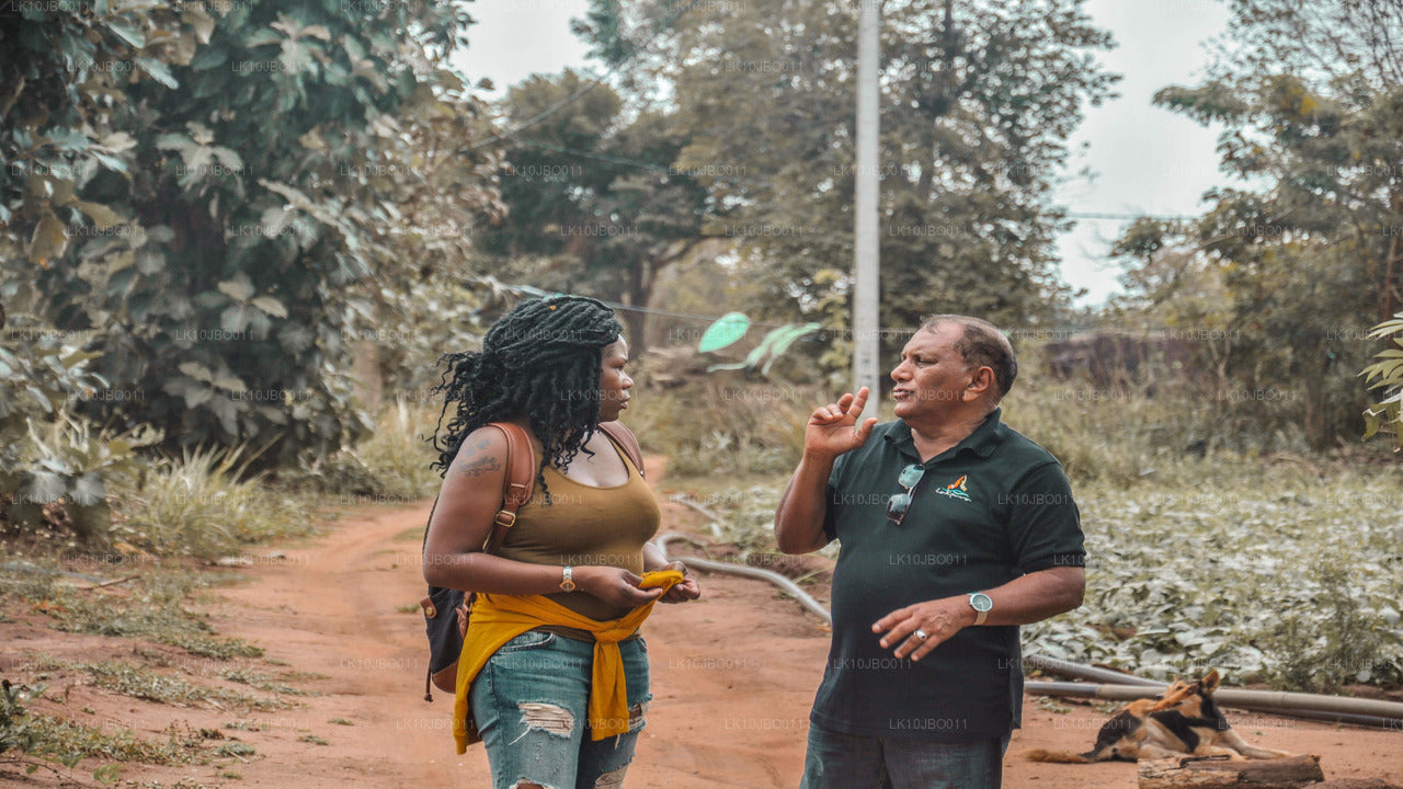 Тайные побеги (19 дней)