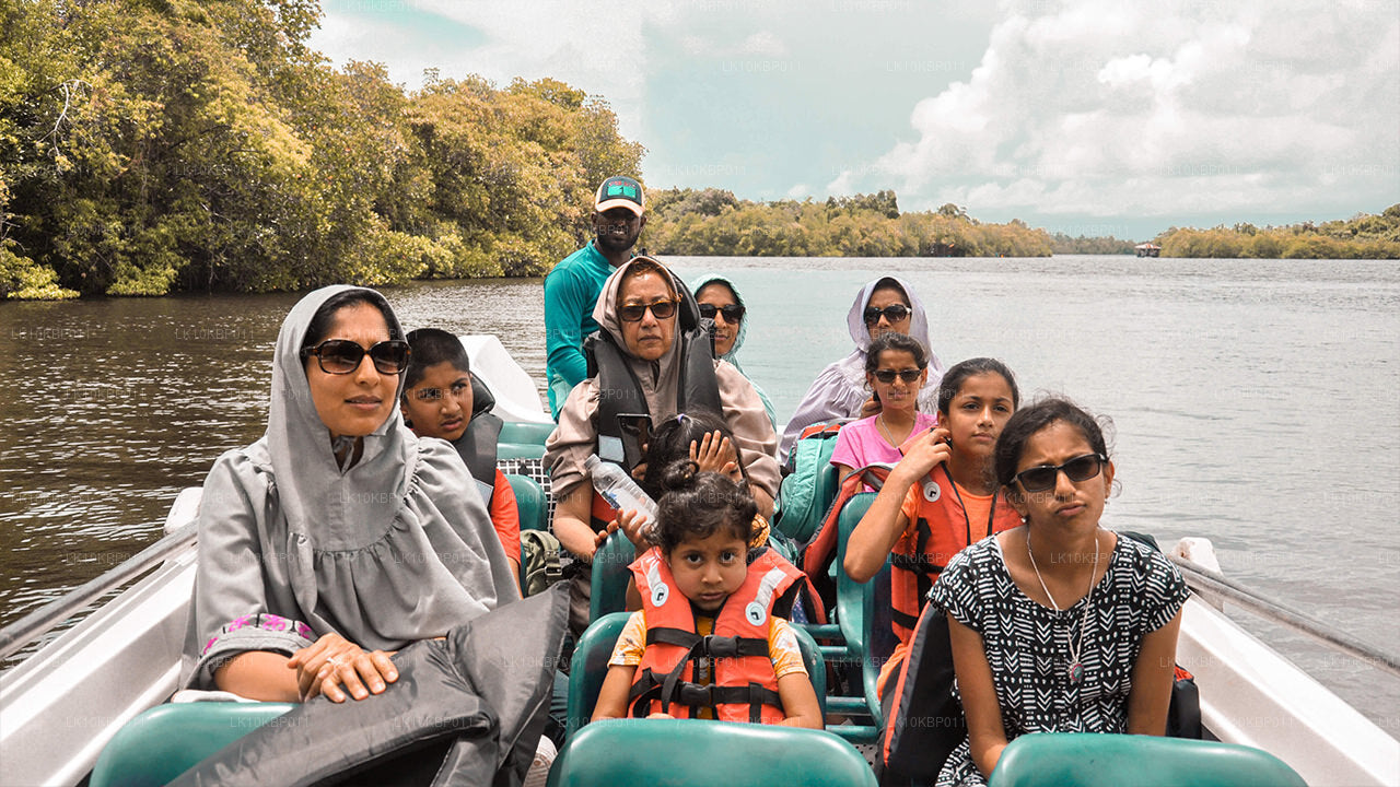 Погрузитесь в мир впечатлений (20 дней)