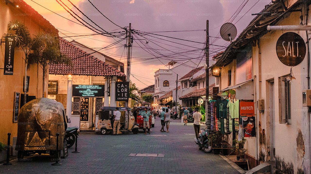 Погрузитесь в мир впечатлений (20 дней)