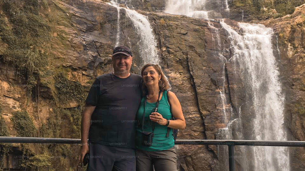 Погрузитесь в мир впечатлений (20 дней)