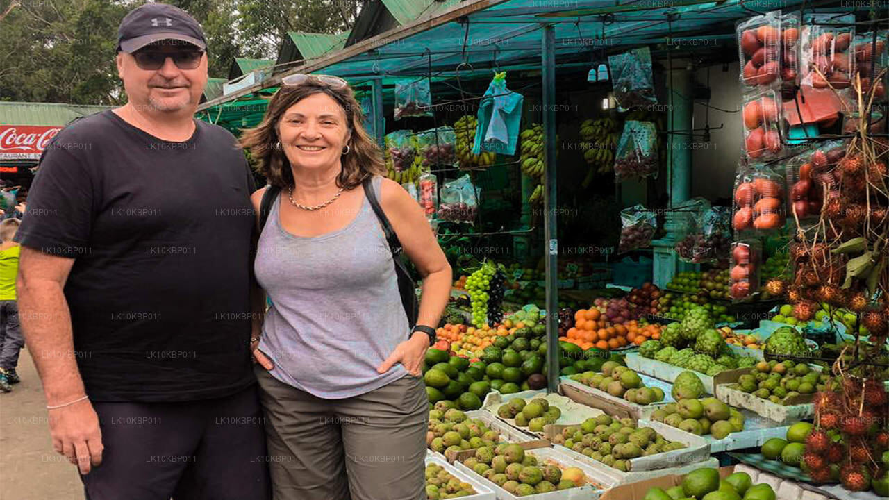 Погрузитесь в мир впечатлений (20 дней)