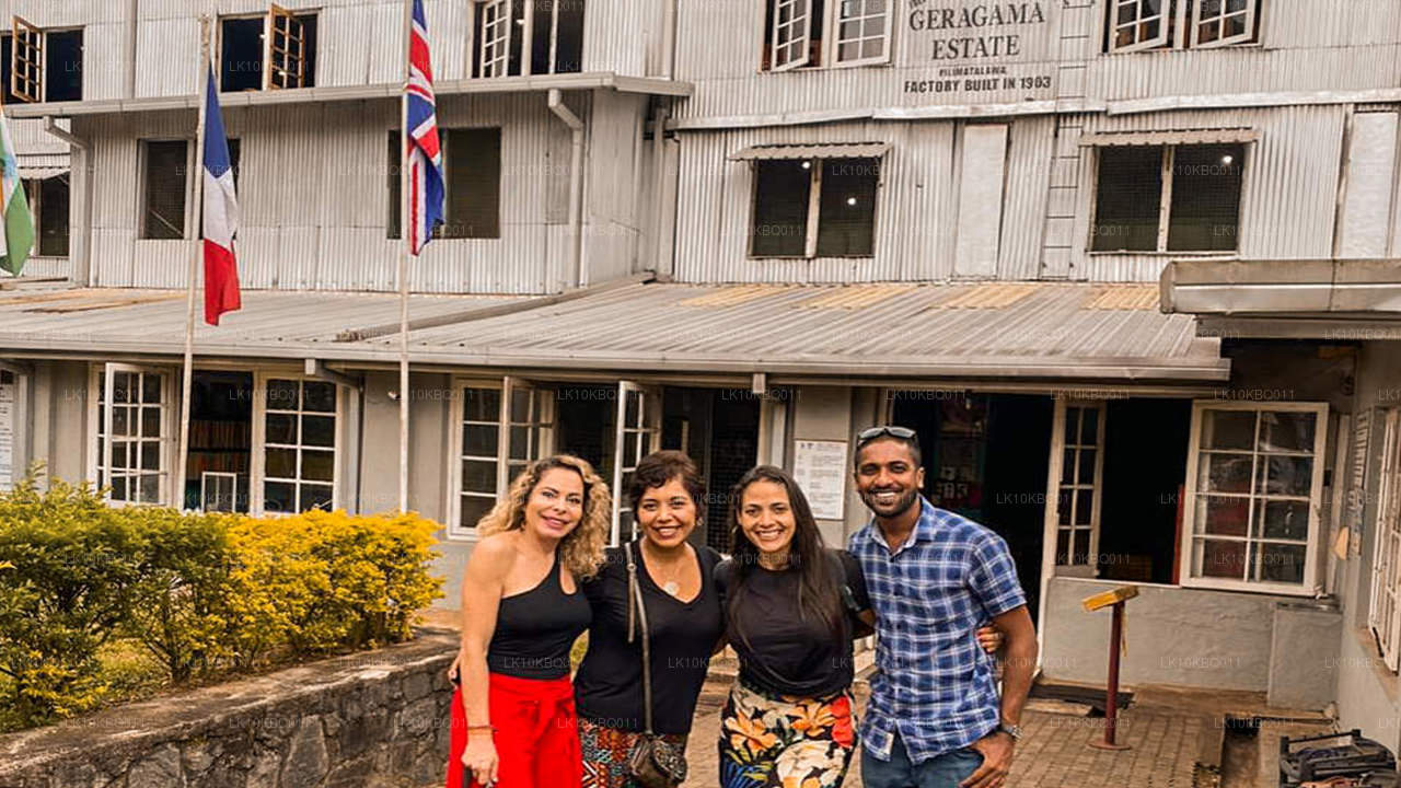 Классическая Шри-Ланка (20 дней)