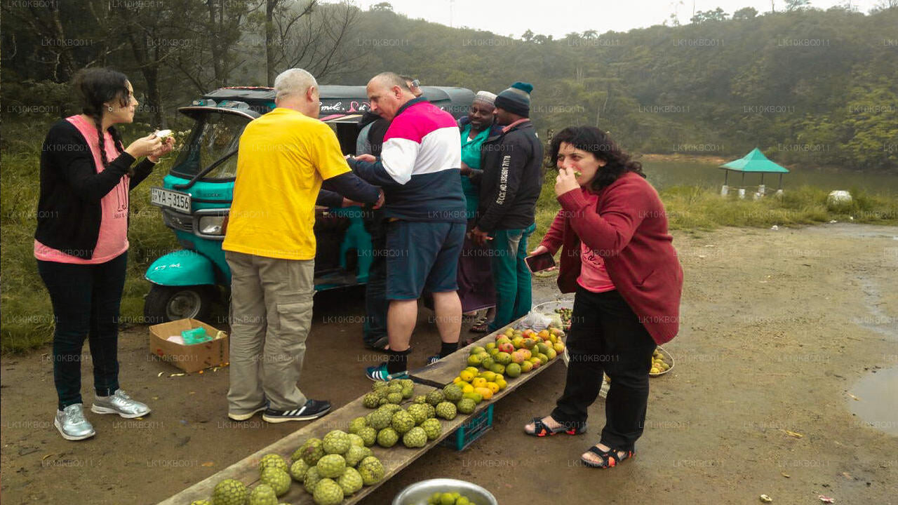 Классическая Шри-Ланка (20 дней)