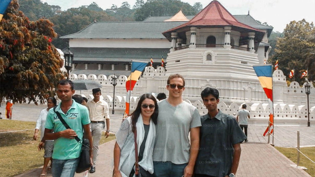 Классическая Шри-Ланка (20 дней)