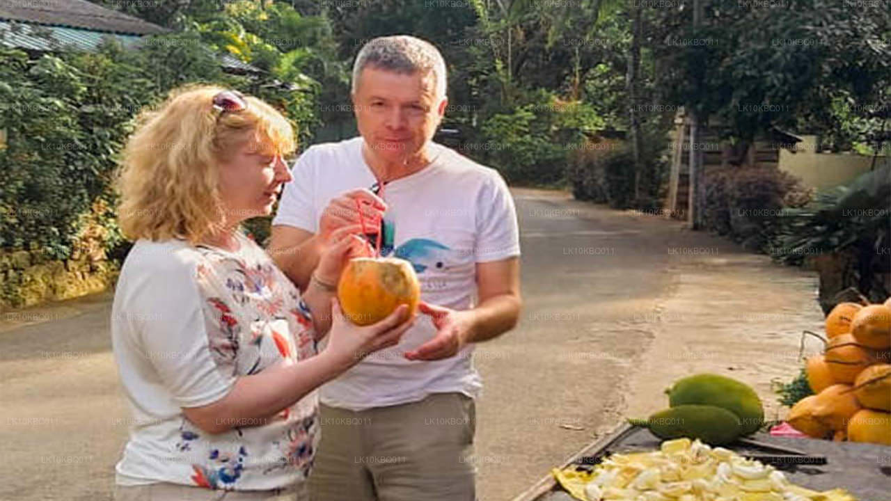 Классическая Шри-Ланка (20 дней)