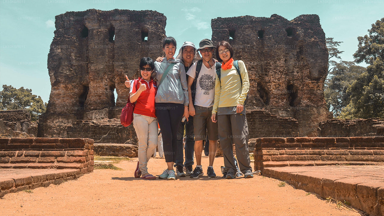 Цвета Шри-Ланки (20 дней)