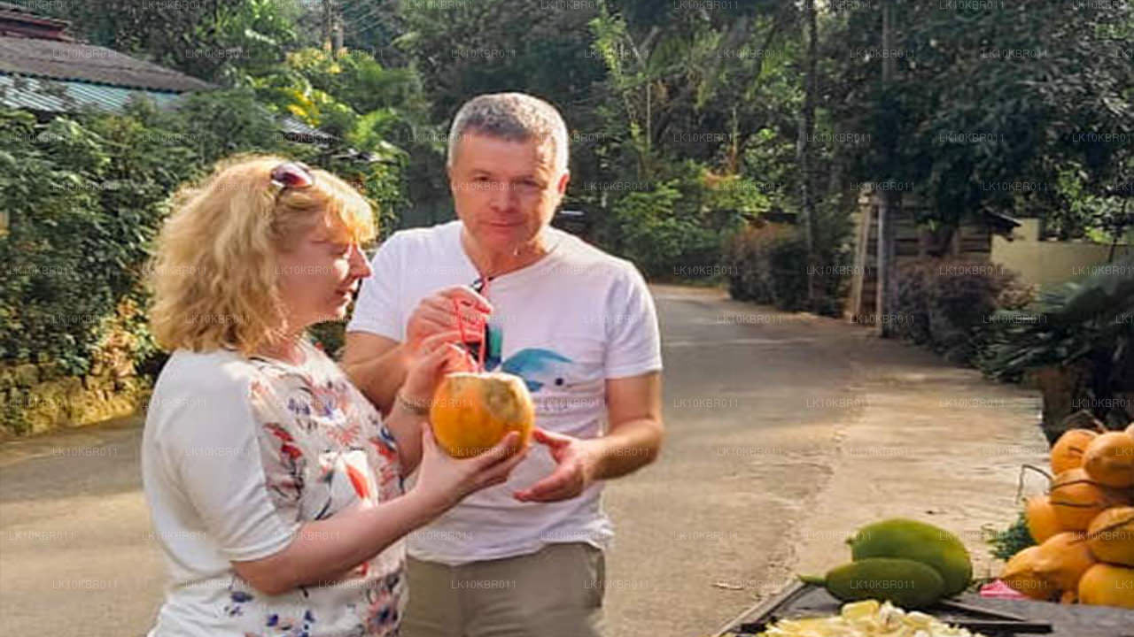 Цвета Шри-Ланки (20 дней)