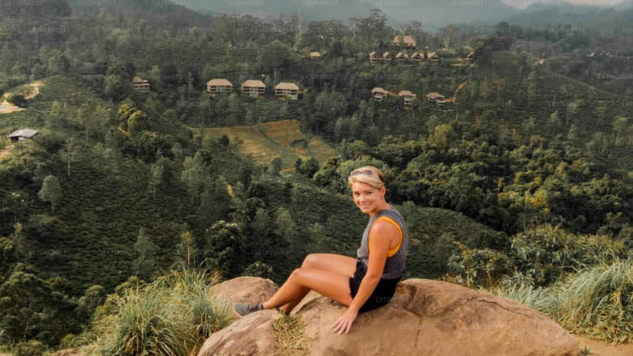 Цвета Шри-Ланки (20 дней)