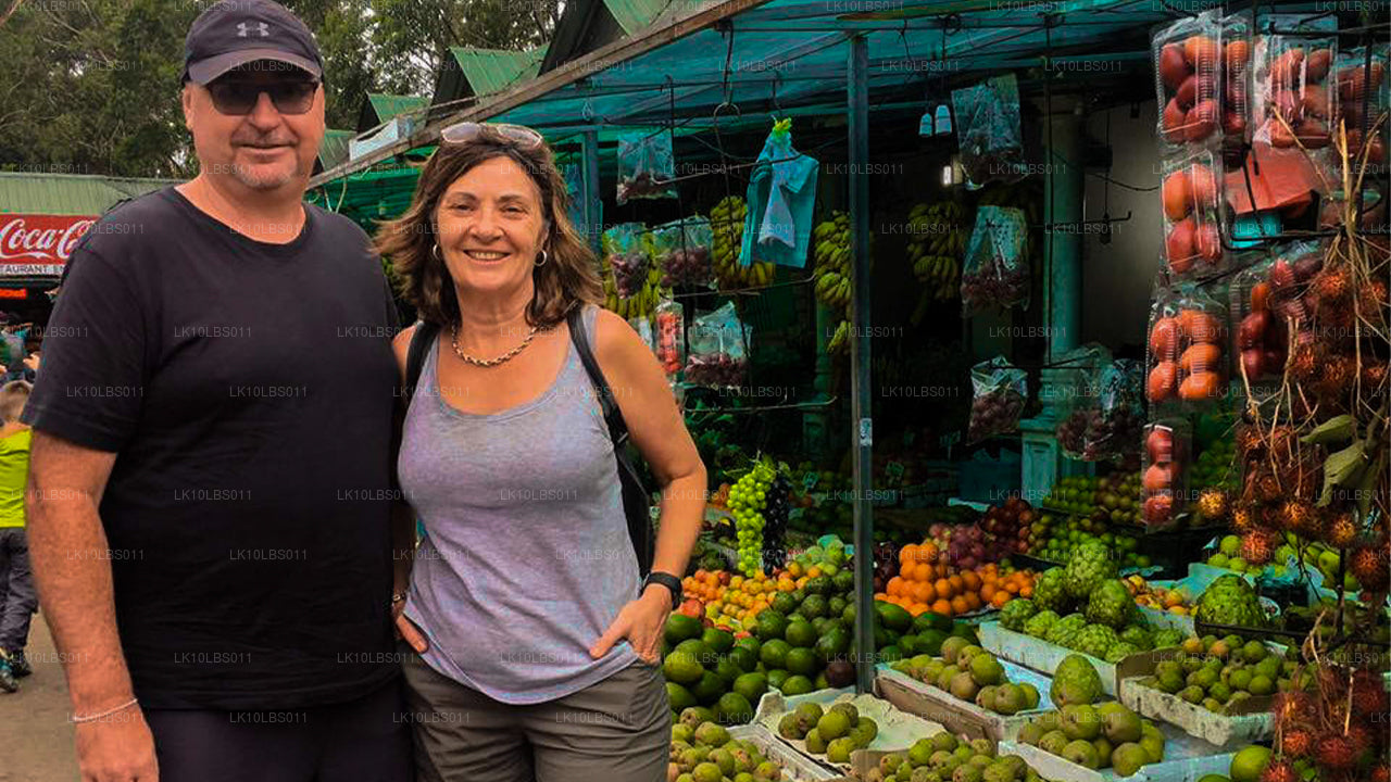 Исследователь Востока (21 день)