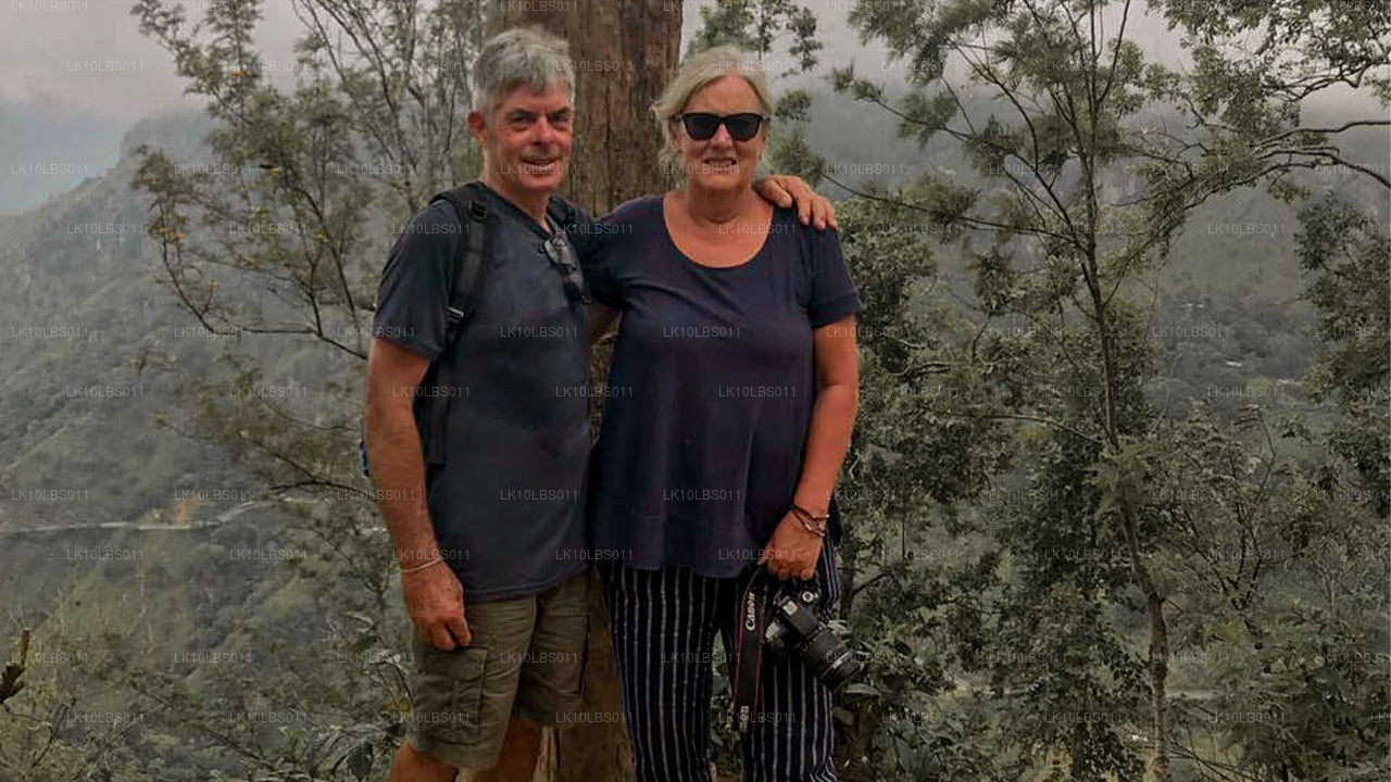 Исследователь Востока (21 день)