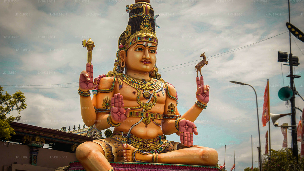 Исследователь Востока (21 день)