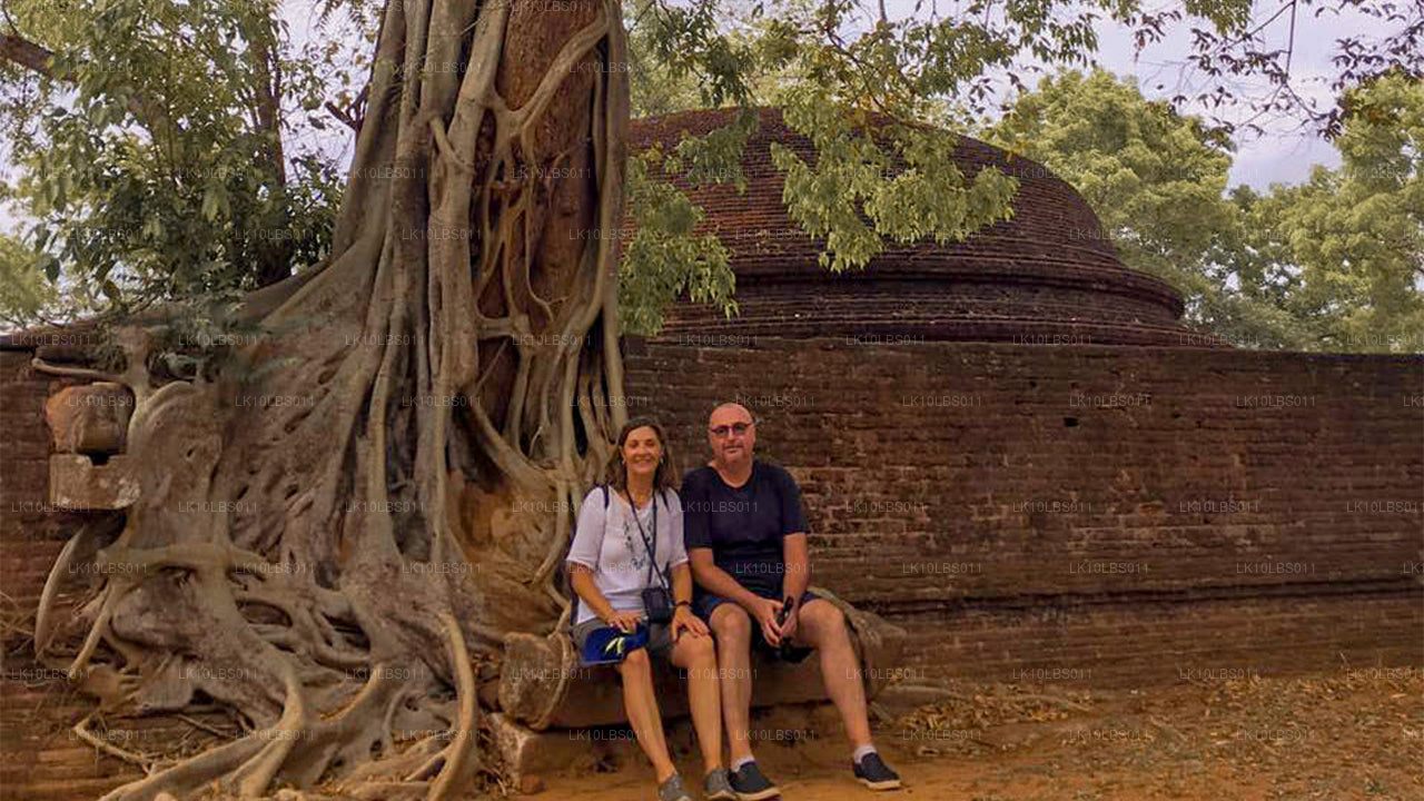 Исследователь Востока (21 день)