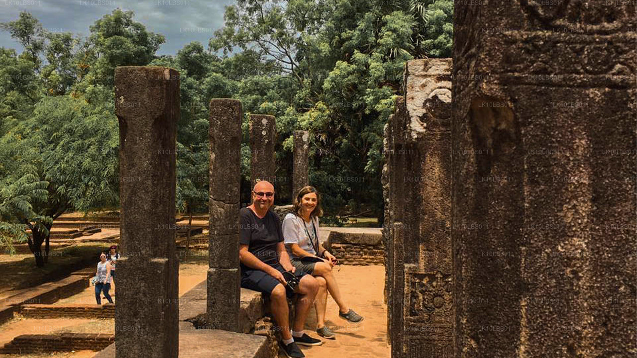 Исследователь Востока (21 день)