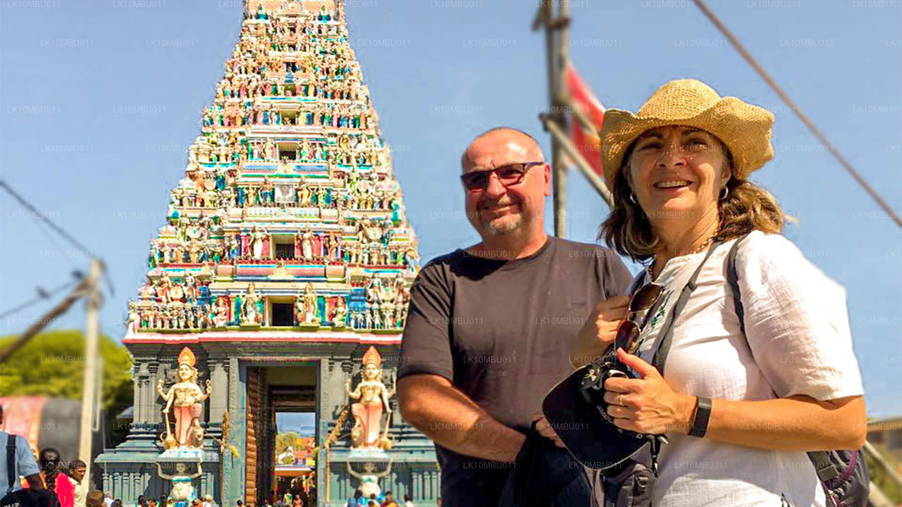 Гламур Шри-Ланки (22 дня)