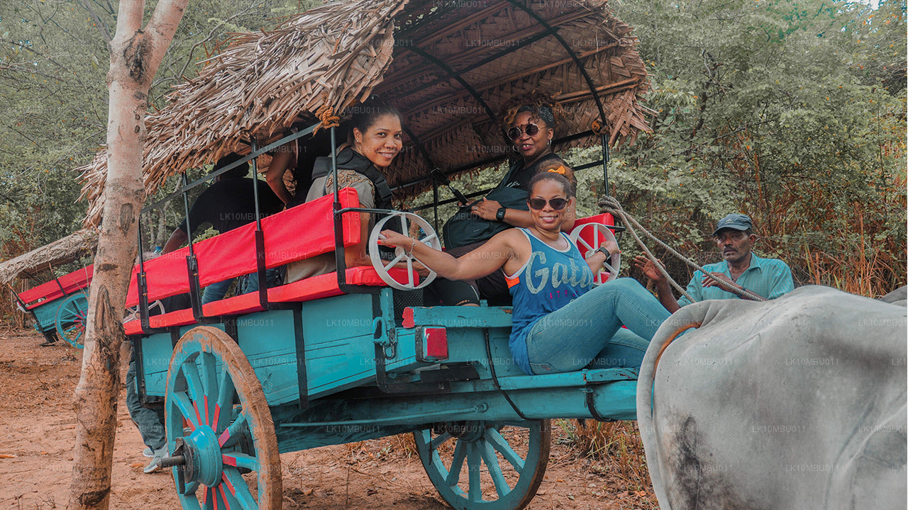 Гламур Шри-Ланки (22 дня)