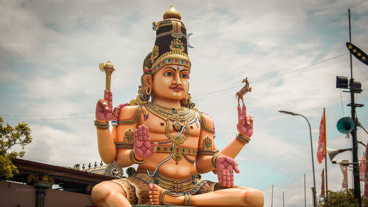 Гламур Шри-Ланки (22 дня)