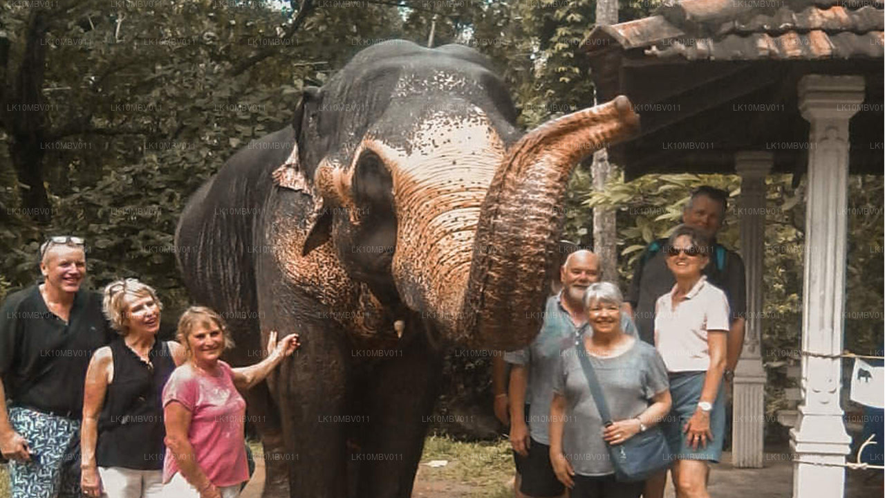 Храмы и природа (22 дня)