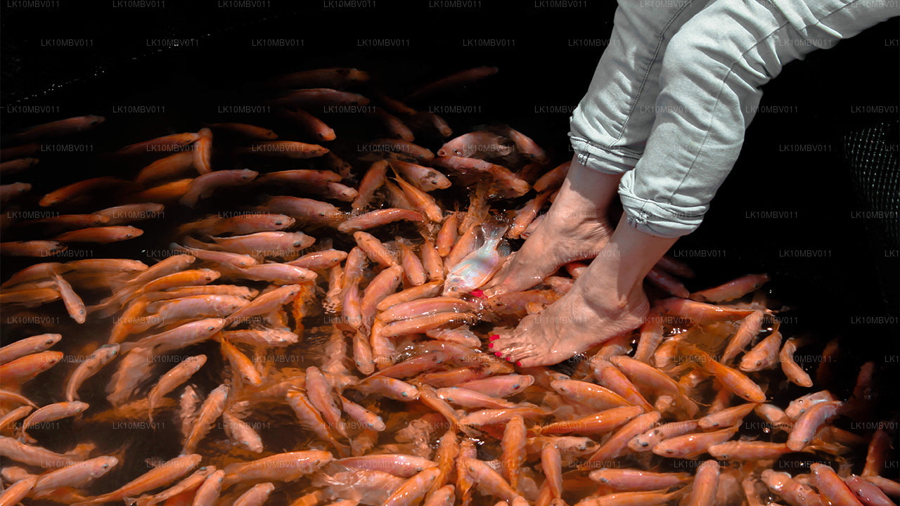 Храмы и природа (22 дня)