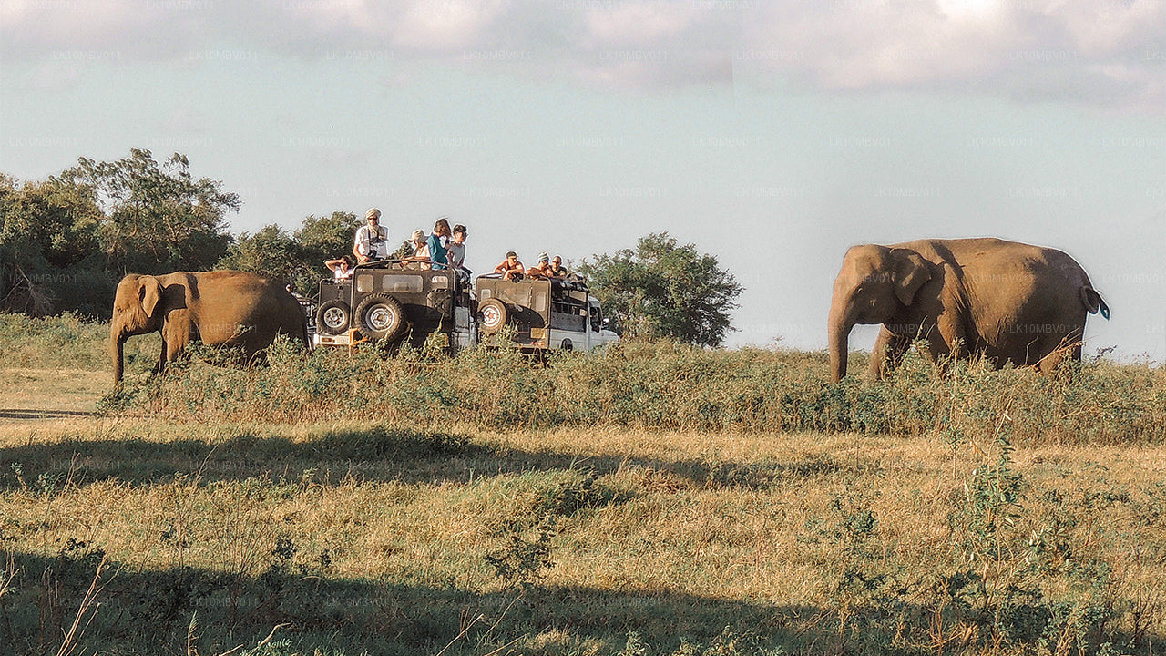 Храмы и природа (22 дня)