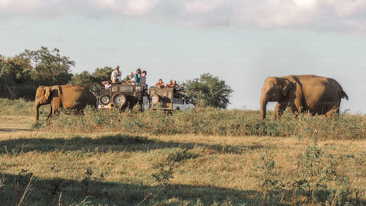 Храмы и природа (22 дня)