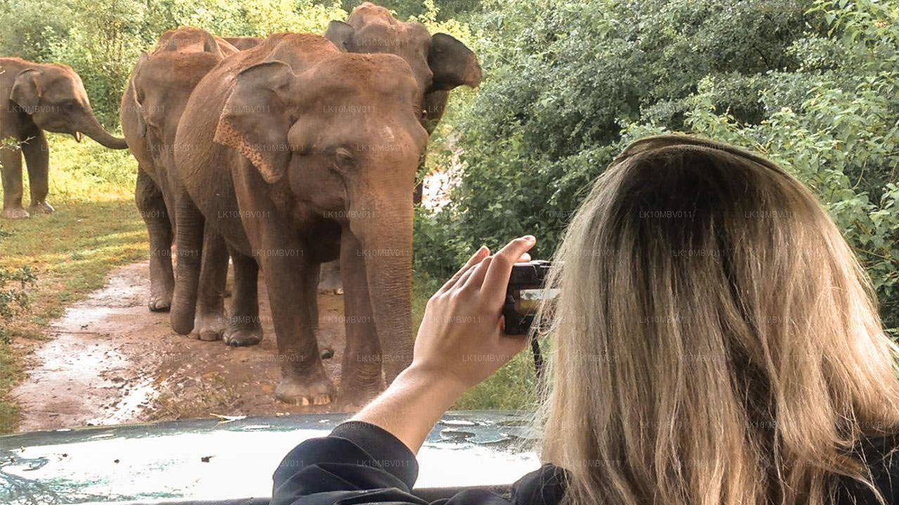 Храмы и природа (22 дня)